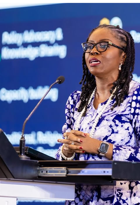 osasuyi dirisu - speaking engagement